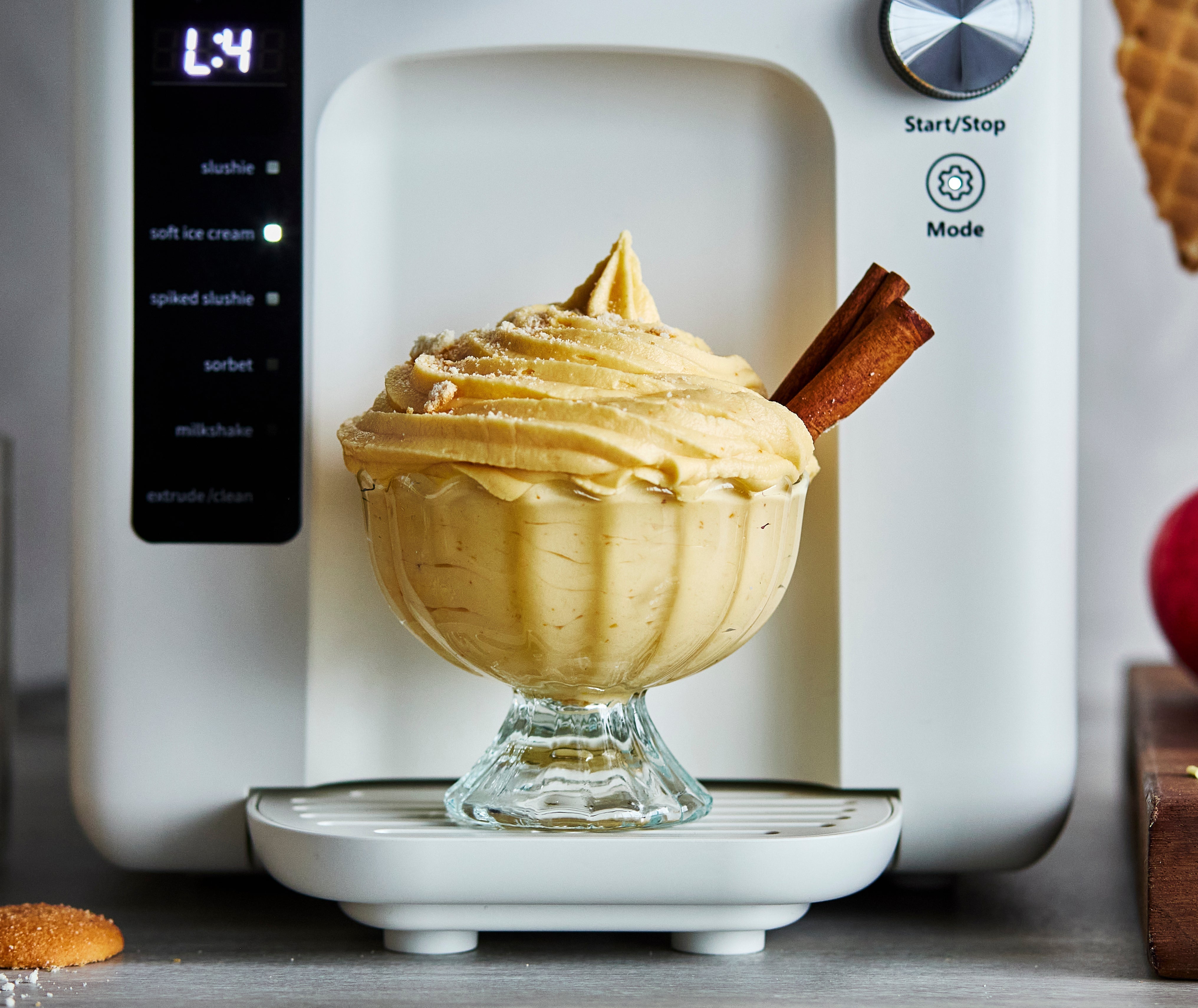 Pumpkin Spice Ice Cream