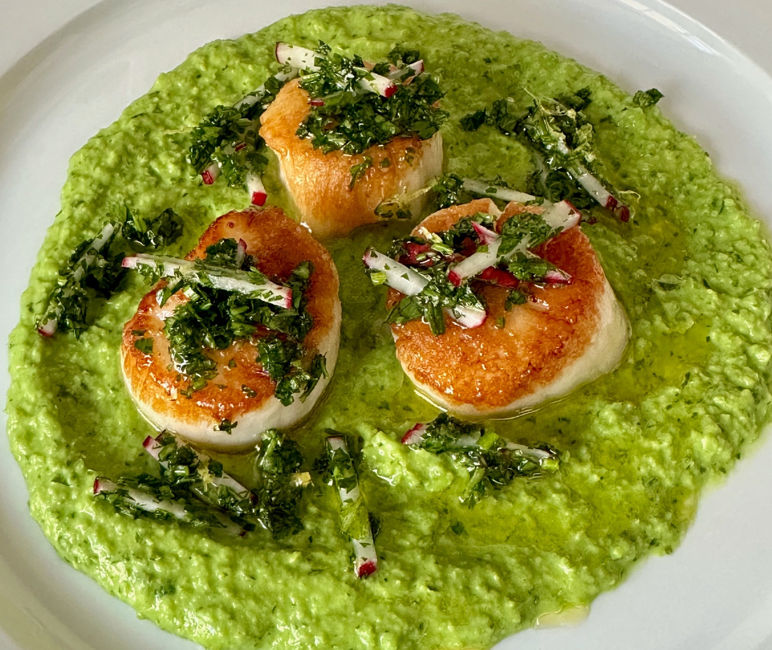 Seared Sea Scallops with Herbed Pea Purée & Spring Radish Gremolata
