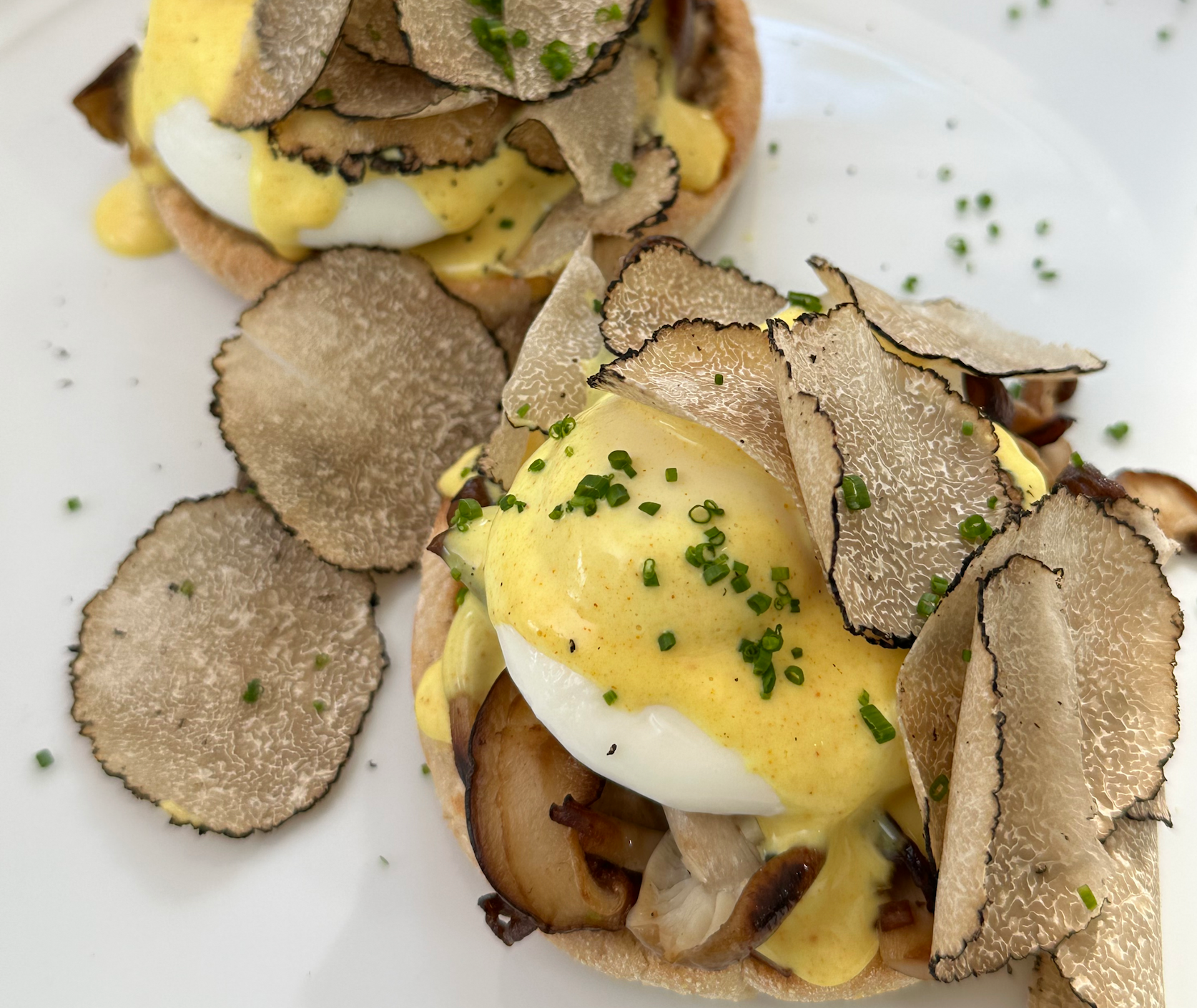 Sautéed Wild Mushroom & Shaved Truffle Benedict