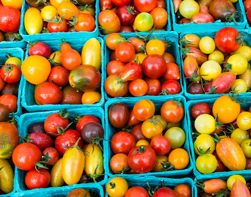 Tomato 101: Vine-Ripened Summer Tomatoes