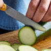 Premium Stainless Steel Blades