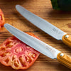 Smooth-Edged Knife