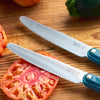 Smooth-Edged Knife