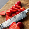 Premium Stainless Steel Blades