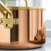 POLISHED COPPER EXTERIOR