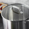 Cook and Look Glass Lid