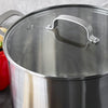 Cook and Look Glass Lid