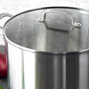Cook and Look Glass Lid