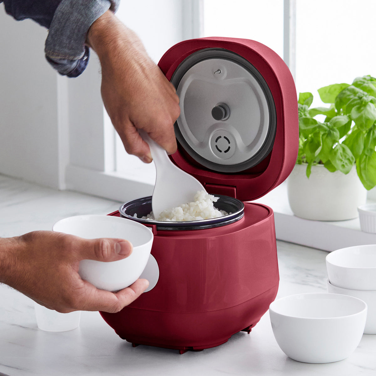 GreenLife 4-Cup Rice & Grains Cooker | Red | GreenPan