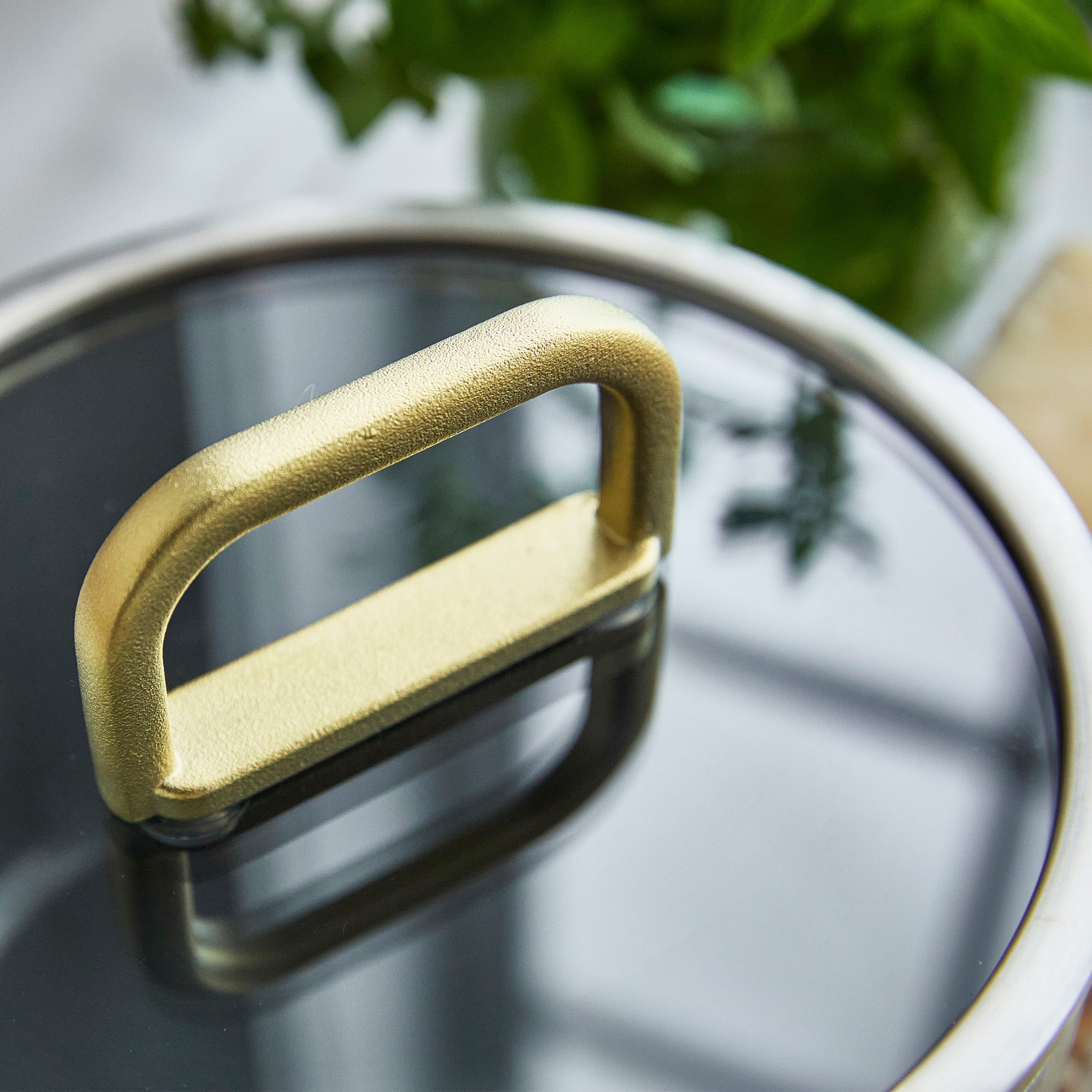 Stanley Tucci™ Stainless Steel Ceramic Nonstick 2-Quart Saucepan with Lid | Champagne Handles