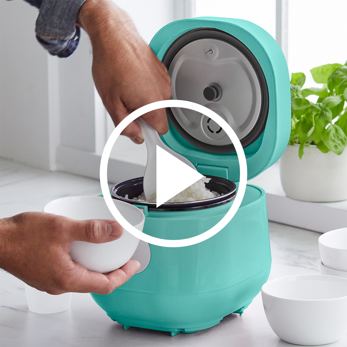 Green Rice Cook Unity GreenLife 4-Cup Rice & Grains Cooker | Turquoise | GreenPan