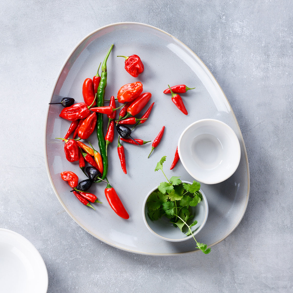 Keltum Glazed Stoneware 15" Serving Plate | Gray